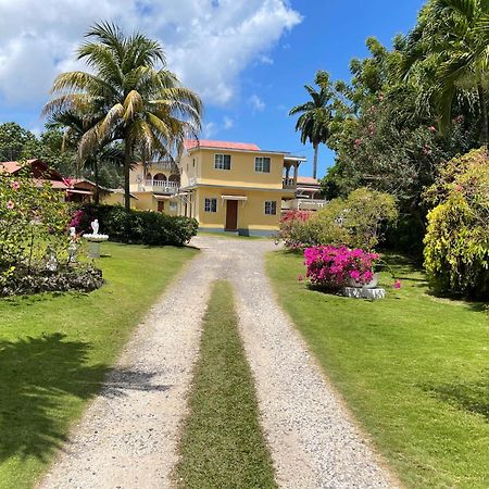 Little Shaw Park Guest House Ocho Rios Eksteriør billede