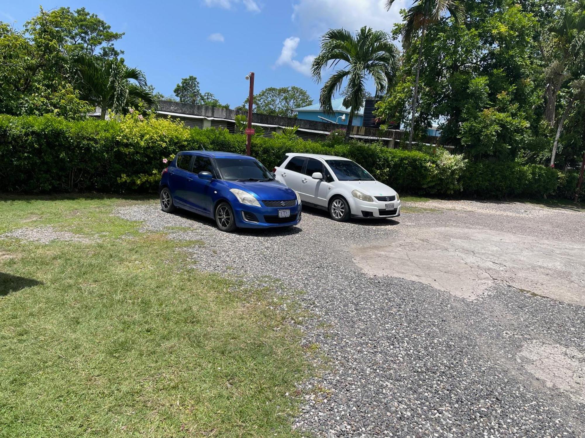 Little Shaw Park Guest House Ocho Rios Eksteriør billede
