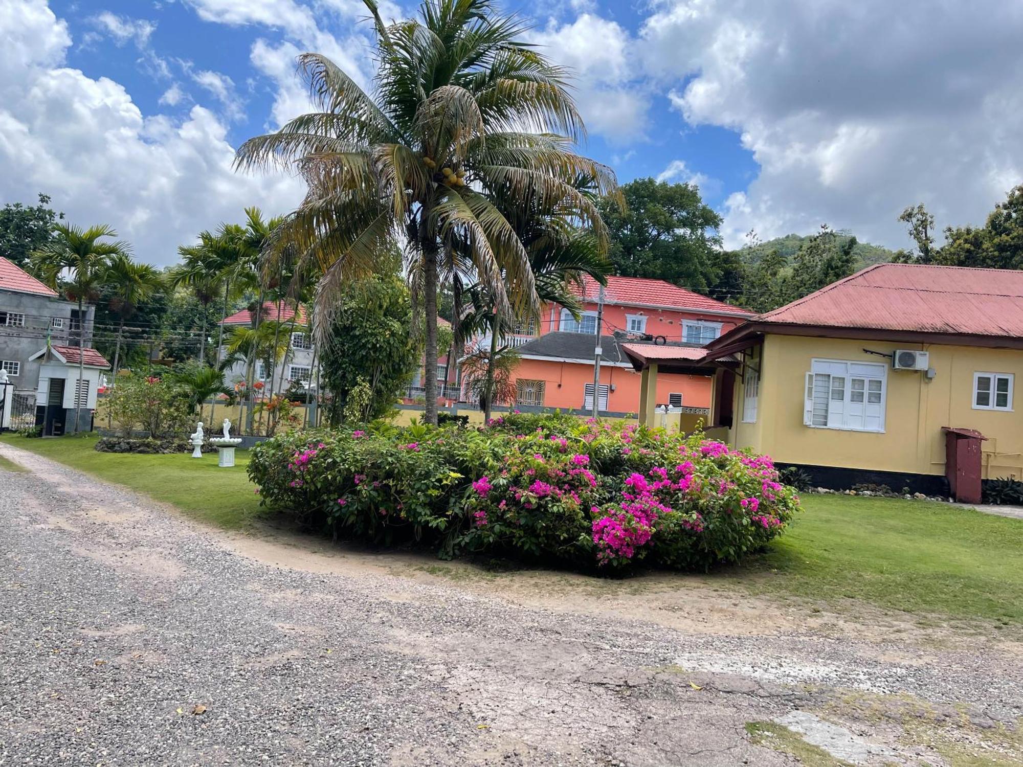 Little Shaw Park Guest House Ocho Rios Eksteriør billede
