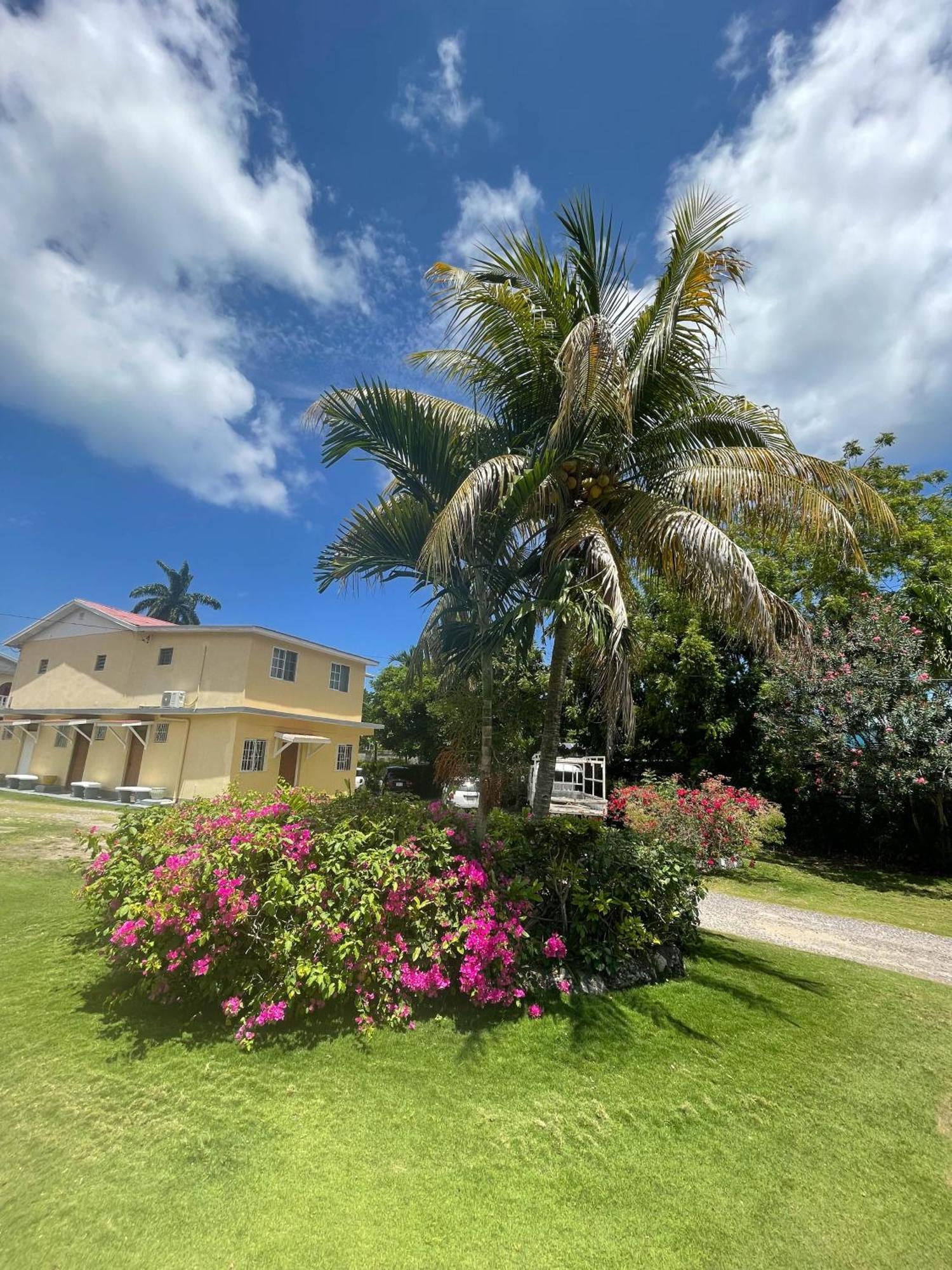 Little Shaw Park Guest House Ocho Rios Eksteriør billede